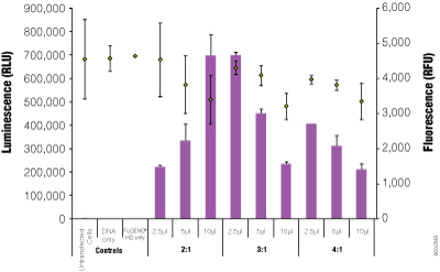 Transfection optimization using the FuGENE® HD Transfection Reagent.
