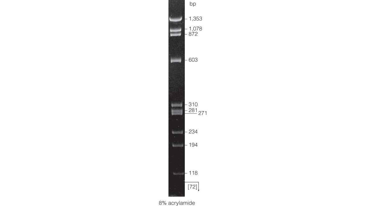 PhiX174 DNA/HaeIII Markers.