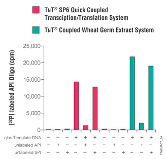 Specificity of binding of in vitro expressed proteins to 32P-labeled oligos using the SAM2 Membranes. 