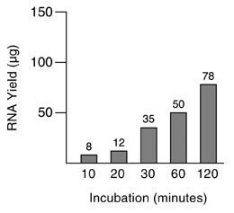 RNA quantification.
