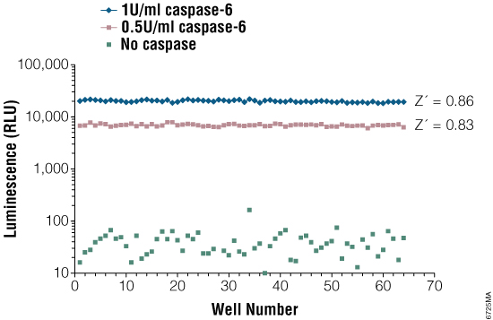 Z´-factor value analysis of the Caspase-Glo 6 Assay.