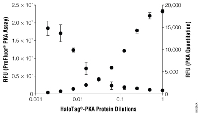 PKA enzyme assay on HaloLink Slides