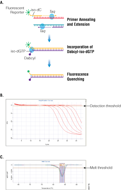 Real-time PCR technology.