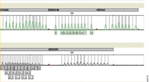 Missing allele calls at D1S1656, D2S441 and D12S391 loci.