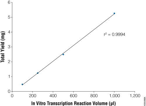 RNA yield is proportional to the in vitro transcription reaction volume.