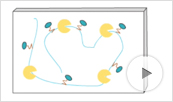 ProteaseMAX Surfactant Animation Thumbnail