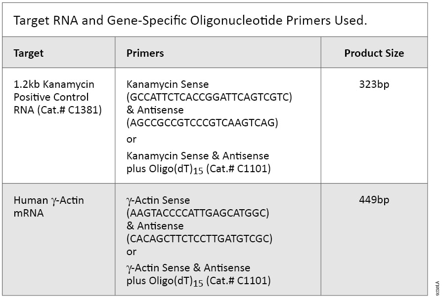 Target RNA and Gene-Specific Oligonucleotide Primers Used.