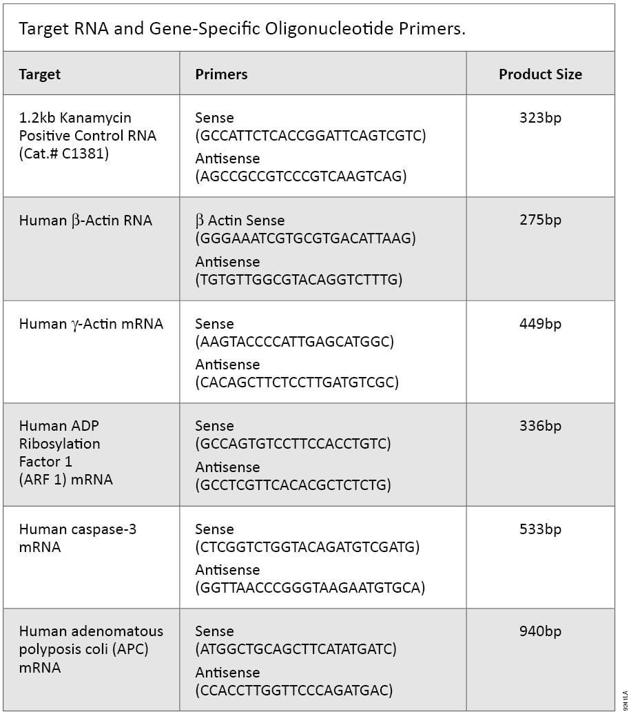 Target RNA and Gene-Specific Oligonucleotide Primers.