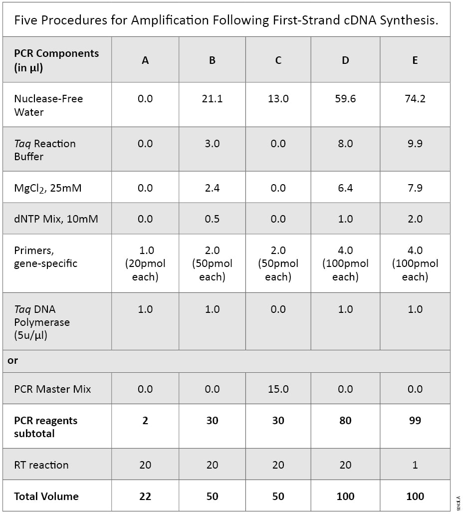 Five Procedures for amplification Following First-Strand cDNA Synthesis.