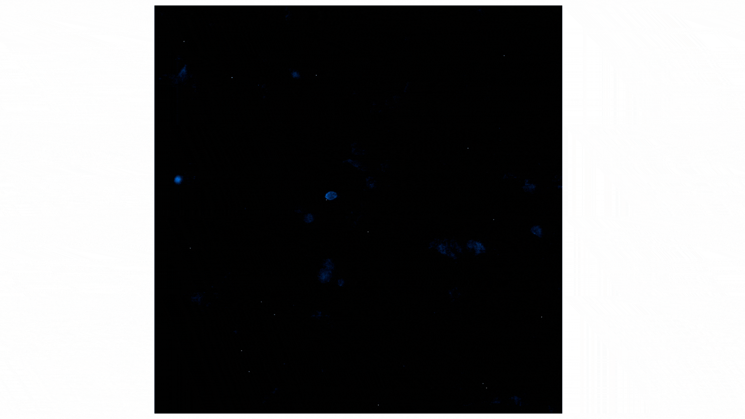 gpcr-b-arrestin-interaction