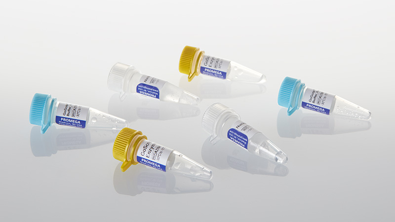 GoScript Reverse Transcription Mix Primers 100 reactions