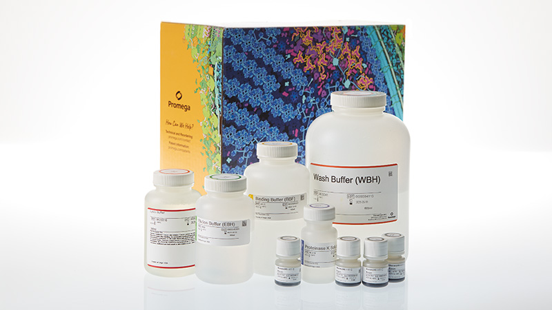 a6050-maxwell-ht-genomic-dna-kit-3
