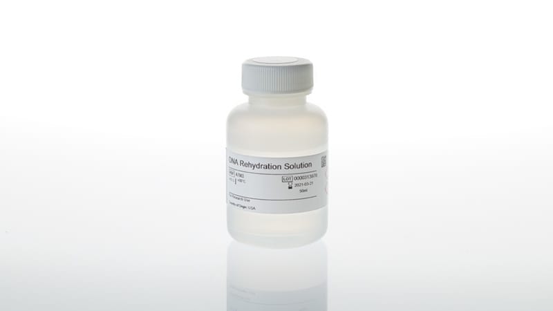 DNA