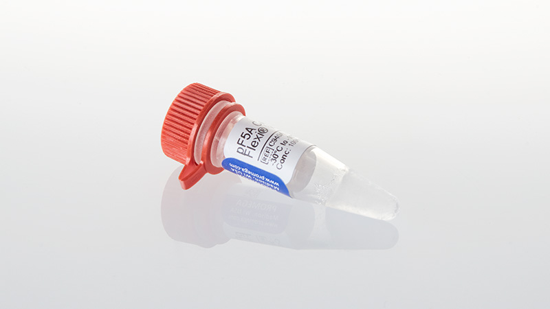 C9401_pF5A-CMV-neo-Flexi--Vector--20ug_3