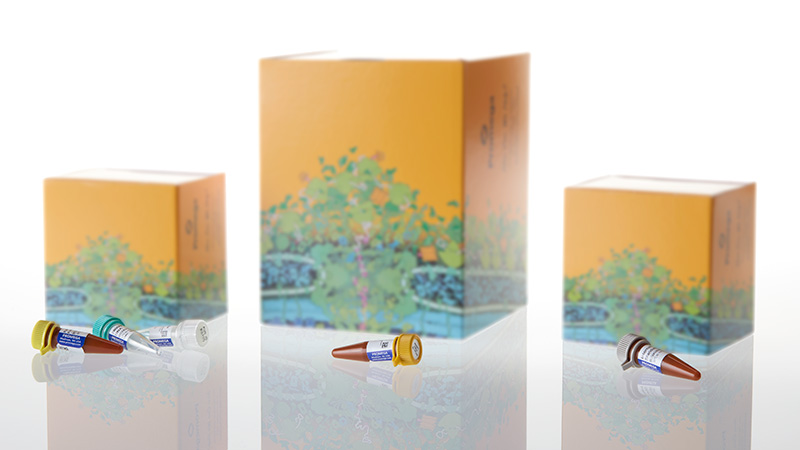 DC6531_PowerPlex--16-System--100-rxn