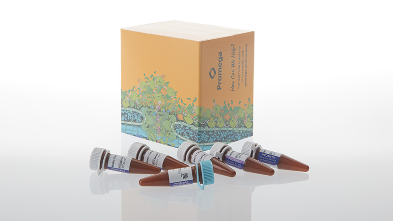 dg5980-versaplex-8c-matrix-standard