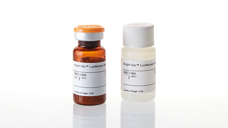 E2610_Bright-Glo--Luciferase-Assay-System_3