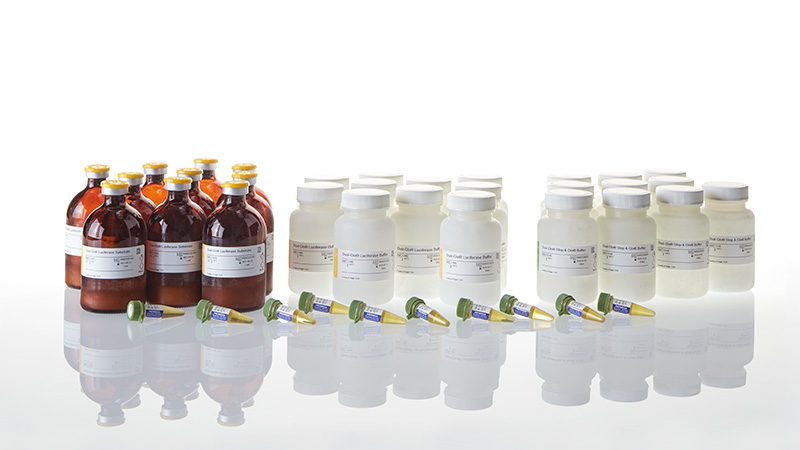 E2980_Dual-Glo--Luciferase-Assay-System_3