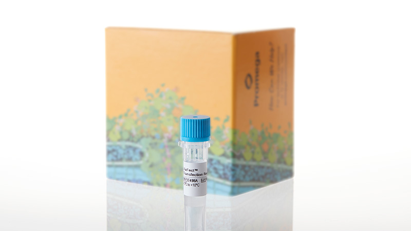 E4981_ViaFect--Transfection-Reagent--0-75ml_3