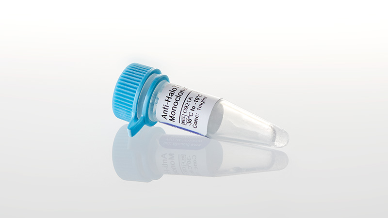 G9211_Anti-HaloTag--Monoclonal-Antibody_3