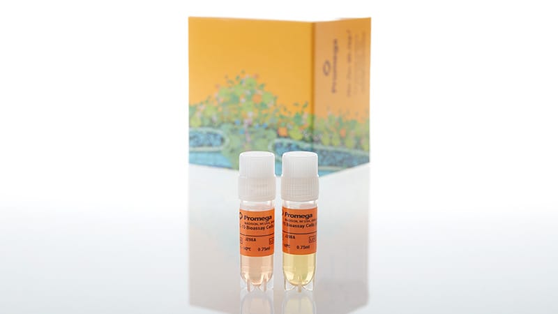 J2962_IL-15-Bioassay--Propagation-Model_3