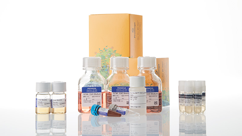 ja1245-raji-ldh-hibit-cd1920-ko-tck-bioassay-5x