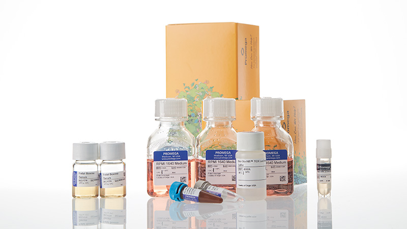 ja1311-raji-ldh-hibit-tck-bioassay