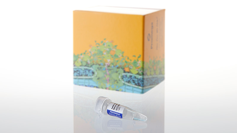 L9961_Amino