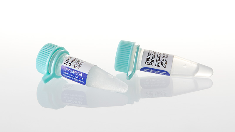 M4261_RNase-ONE--Ribonuclease--1-000u_3