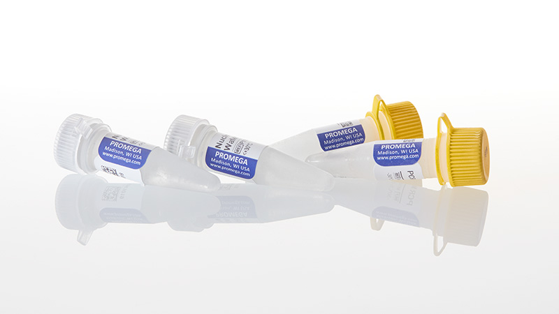 M7502_PCR-Master-Mix--2X---2-x-50-Reactions_3