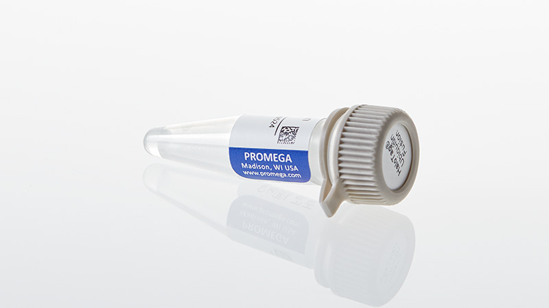 N2721_HaloTag--Ubiquitin-Fusion-Vector_3