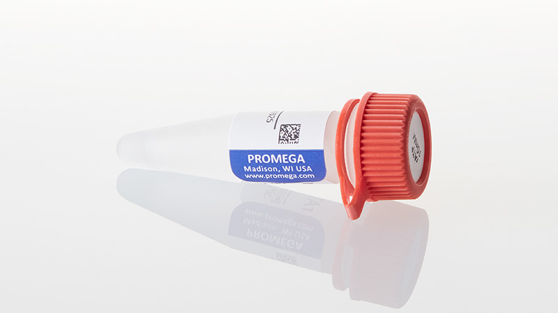 P1132_rATP--10mM--0-5ml_3