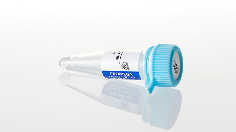 P2251_pGEM--7Zf----Vector--20ug_3