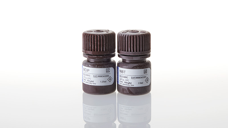 S3771_BCIP-3aNBT-Color-Development-Substrate_3