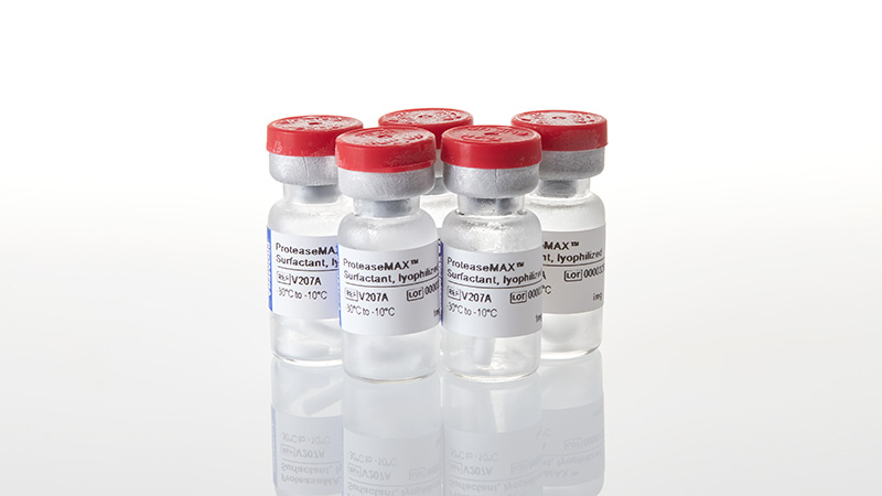 V2072_ProteaseMAX--Surfactant-Trypsin-Enhancer_3