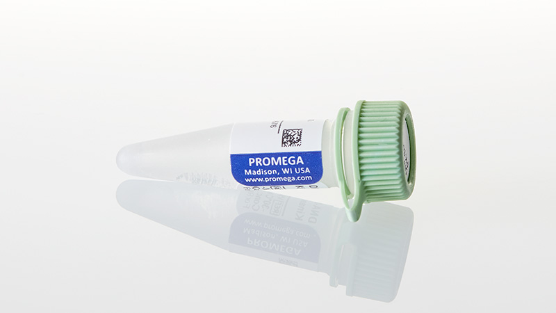 V5671_DNA-Dependent-Protein-Kinase-Peptide-Sub_3