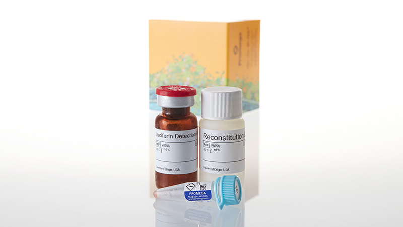 V8911_P450-Glo-CYP3A4 Assay and Screening System