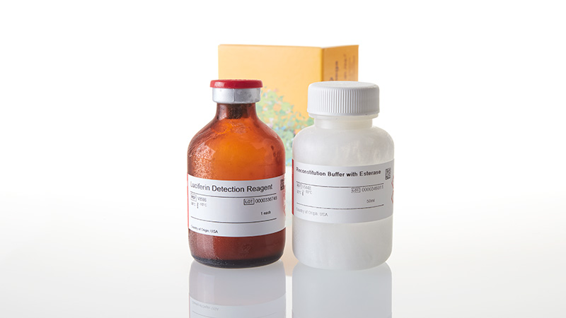 V8931_Luciferin-Detection-Reagent--esterase-50_3