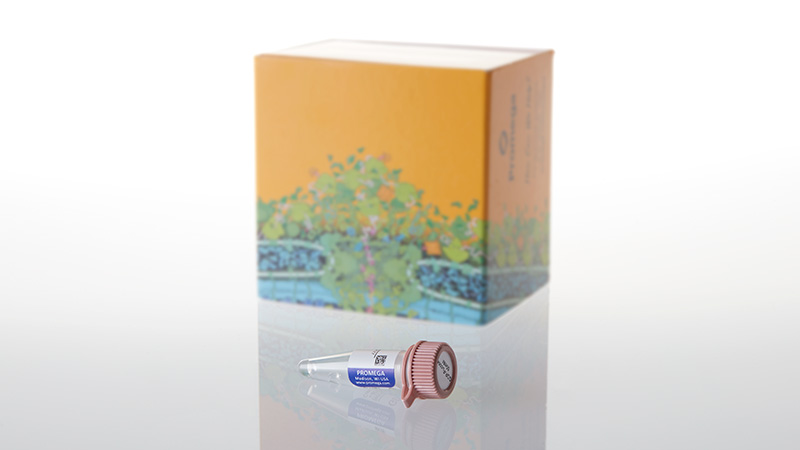 VA1097_Ultra Pure GDP-Sugar Substrates