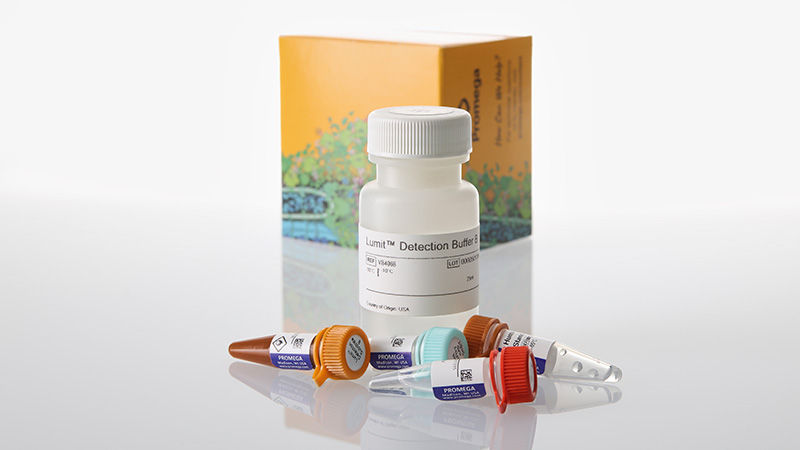 w6041-lumit-ifn-y-human-immunoassay-1000-assays