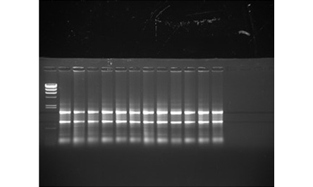 10398TA-web-positionB