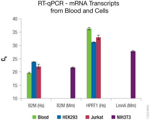 RT-qPCR results from purified mRNA.