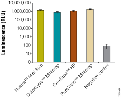Performance of miniprep DNA in an in vitro transcription/translation reaction