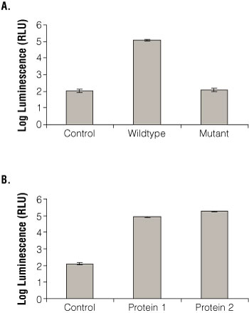 Figure 3. Beta-galactosidase activity determined using the Beta-Glo Assay System with the yeast three- and two-hybrid systems.