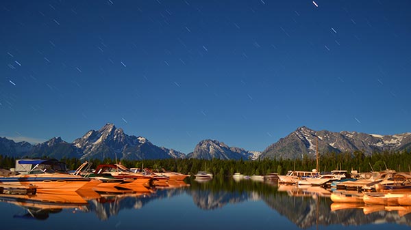 A framed image of a mouse brain section