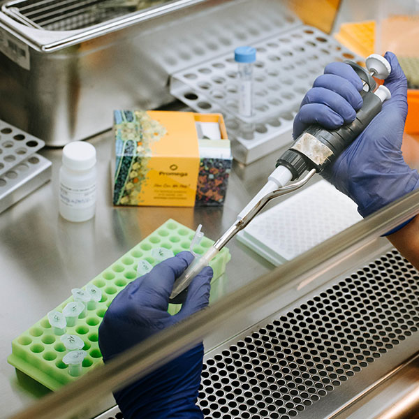 customer-support-global