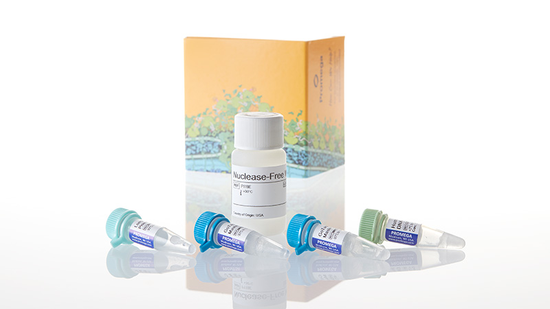 M4021_GoTaq--Long-PCR-Master-Mix_3